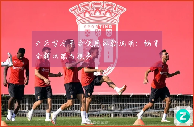 开云官方平台使用体验说明：畅享全新功能与服务