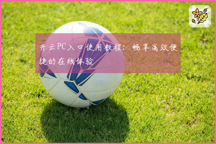 开云PC入口使用教程：畅享高效便捷的在线体验